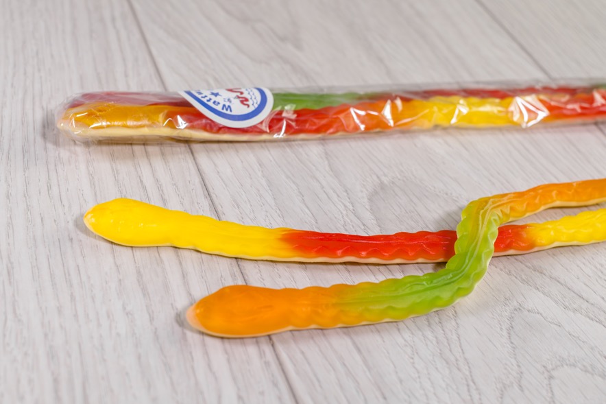 GOSCH Riesen Wattwürmer