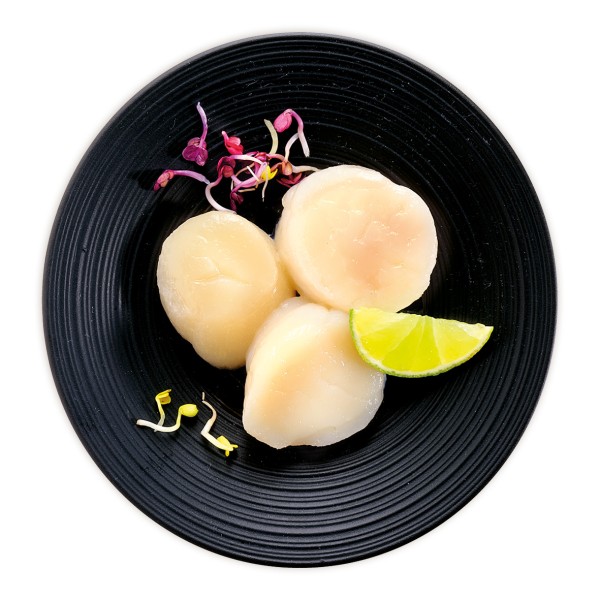 GOSCH Japanisches Kammmuschelfleisch